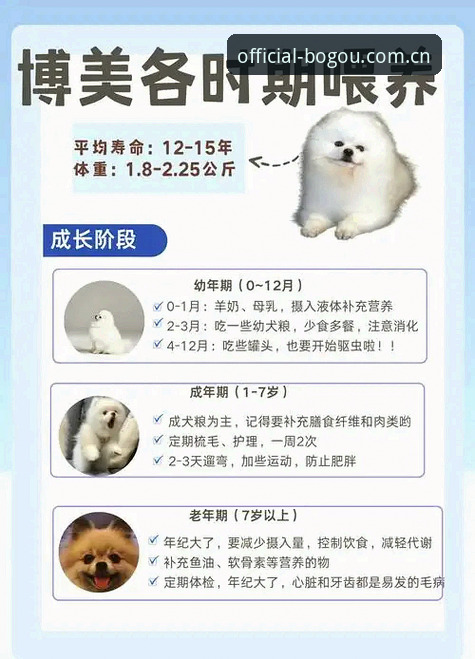 博狗安卓版安装教程 博狗安卓版安装教程:从下载到注册的完整操作指南